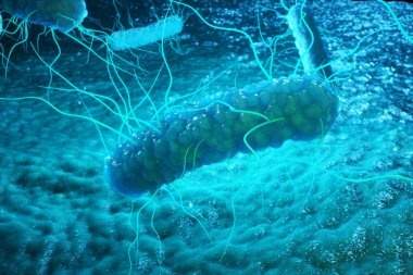 3D rendering Enterobacterias. Gram negativas Proteobacteria, bacteria such as salmonella, escherichia coli, yersinia pestis, klebsiella clipart