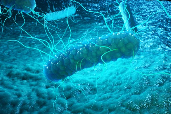 Rendering Enterobacterias Gram Negativas Proteobacteria Bakterier Såsom Salmonella Yersinia Pestis — Stockfoto