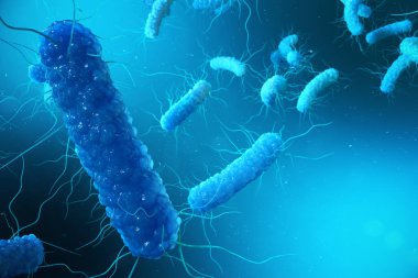 3D çizim Enterobacterias. Gram negativas bakteri, salmonella, escherichia coli, klebsiella yersinia pestis gibi bakteriler.