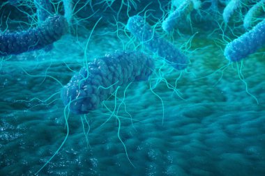 Enterobacterias Gram negativas bakteri, salmonella, escherichia coli, klebsiella yersinia pestis gibi bakteriler. 3D render