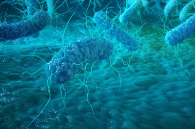 Enterobacterias Gram negativas Proteobacteria, bacteria such as salmonella, escherichia coli, yersinia pestis, klebsiella. 3D rendering clipart