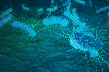 3D çizim Enterobacterias. Gram negativas bakteri, salmonella, escherichia coli, klebsiella yersinia pestis gibi bakteriler