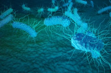 3D illustration Enterobacterias. Gram negativas Proteobacteria, bacteria such as salmonella, escherichia coli, yersinia pestis, klebsiella clipart