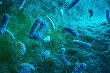 Enterobacterias Gram negativas bakteri, salmonella, escherichia coli, klebsiella yersinia pestis gibi bakteriler. 3D çizim.