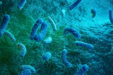 Enterobacterias Gram negativas Proteobacteria, bacteria such as salmonella, escherichia coli, yersinia pestis, klebsiella. 3D illustration. clipart