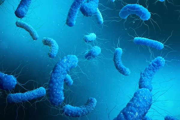 Enterobacterias Negativas Proteobacteria 대장균 페스트 Klebsiella 박테리아 렌더링 — 스톡 사진