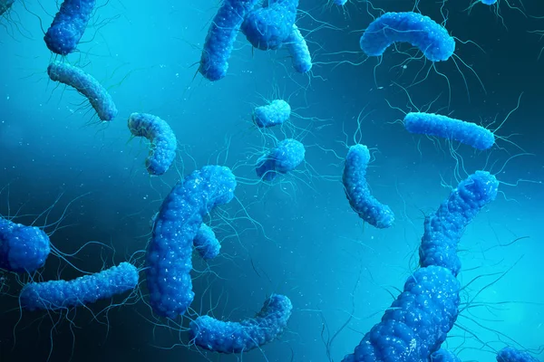 Enterobacterias Gram negativas bakteri, salmonella, escherichia coli, klebsiella yersinia pestis gibi bakteriler. 3D render