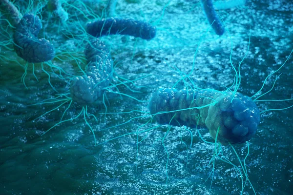 Рендеринг Энтеробактерий Gram Negativas Proteobacteria Бактерии Такие Сальмонелла Escherichia Coli — стоковое фото