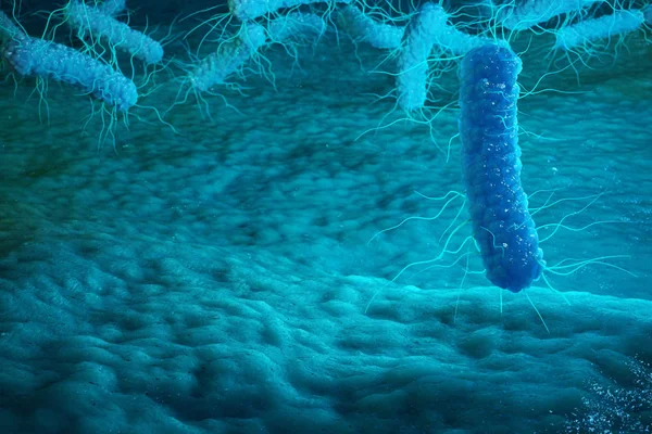 Иллюстрация Enterobacterias Gram Negativas Proteobacteria Бактерии Такие Сальмонелла Escherichia Coli — стоковое фото