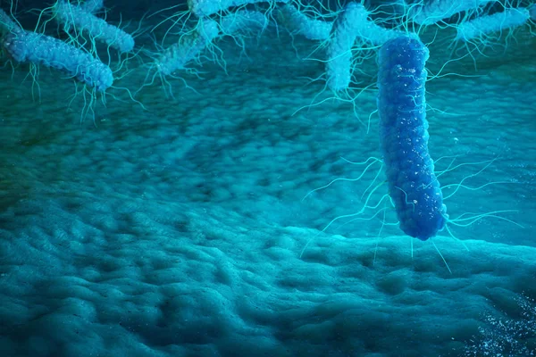 Illustration Enterobacterias Gram Negativas Proteobacteria Bacteria Salmonella Escherichia Coli Yersinia — Stock Photo, Image