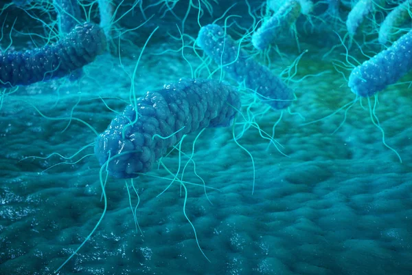 Enterobacterias Gram Negativas Proteobacteria Bakteri Seperti Salmonella Escherichia Coli Yersinia — Stok Foto