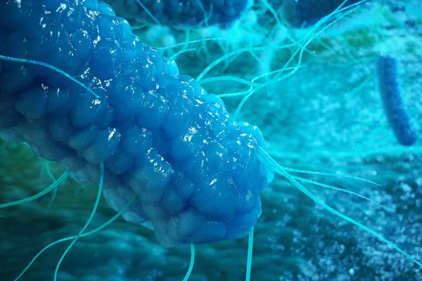 Enterobacterias Gram Negativas Proteobacteria Bacteria Salmonella Escherichia Coli Yersinia Pestis — Stock Photo, Image