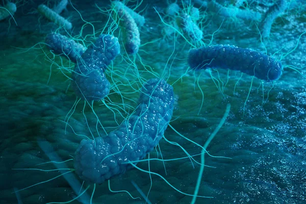 Enterobacterias Gram Negativo Proteobacterias Bacterias Como Salmonela Escherichia Coli Yersinia — Foto de Stock