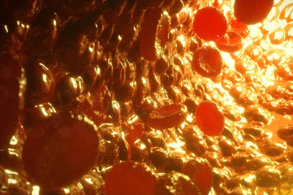 Rode Bloedcellen Ader Slagader Stromen Binnen Een Levend Organisme Rendering — Stockfoto