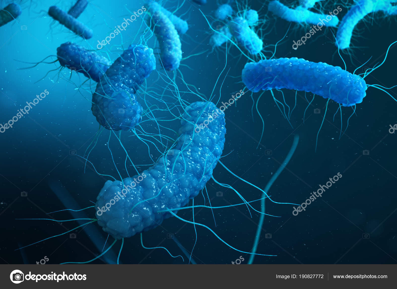 Enterobacterias Gram Negativas Proteobacteria Bacteria Salmonella Escherichia Coli Yersinia Pestis Stock Photo Image By C Rost9 190827772
