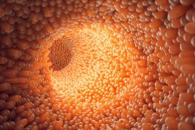 3D illustration close-up Intestinal villi. Intestine lining. Microscopic villi and capillary. Human intestine. Concept of a healthy or diseased intestine clipart