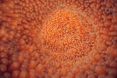 3D çizim yakın çekim bağırsak villus. Bağırsak astar. Mikroskobik villus ve kılcal. İnsan bağırsak. Sağlıklı ya da hastalıklı bağırsak kavramı