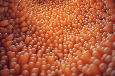 3D çizim yakın çekim bağırsak villus. Bağırsak astar. Mikroskobik villus ve kılcal. İnsan bağırsak. Sağlıklı ya da hastalıklı bağırsak kavramı