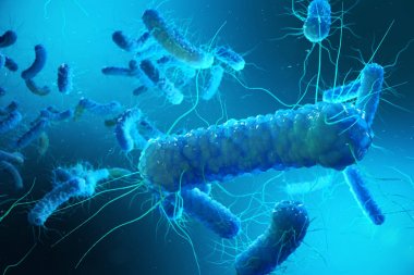 Enterobacterias Gram negativas bakteri, salmonella, escherichia coli, klebsiella yersinia pestis gibi bakteriler. 3D render