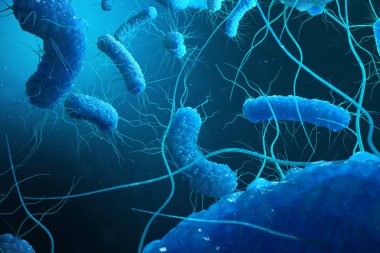 Enterobacterias Gram negativas bakteri, salmonella, escherichia coli, klebsiella yersinia pestis gibi bakteriler. 3D çizim.