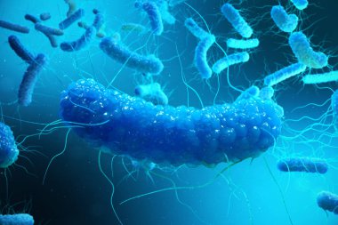 3B oluşturmayı Enterobacterias. Gram negativas bakteri, salmonella, escherichia coli, klebsiella yersinia pestis gibi bakteriler.