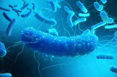 3D rendering Enterobacterias. Gram negativas Proteobacteria, bacteria such as salmonella, escherichia coli, yersinia pestis, klebsiella. clipart