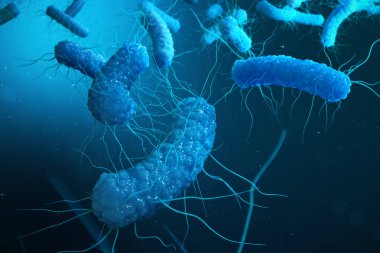 Enterobacterias Gram negativas Proteobacteria, bacteria such as salmonella, escherichia coli, yersinia pestis, klebsiella. 3D rendering clipart