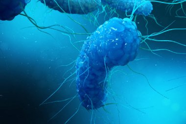 Enterobacterias Gram negativas Proteobacteria, bacteria such as salmonella, escherichia coli, yersinia pestis, klebsiella. 3D illustration clipart