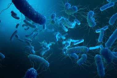 Enterobacterias Gram negativas bakteri, salmonella, escherichia coli, klebsiella yersinia pestis gibi bakteriler. 3D çizim