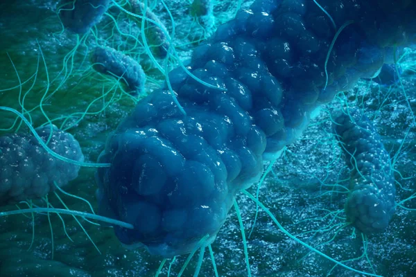 Illustrazione Enterobatteri Gram Negativas Proteobatteri Batteri Come Salmonella Escherichia Coli — Foto Stock