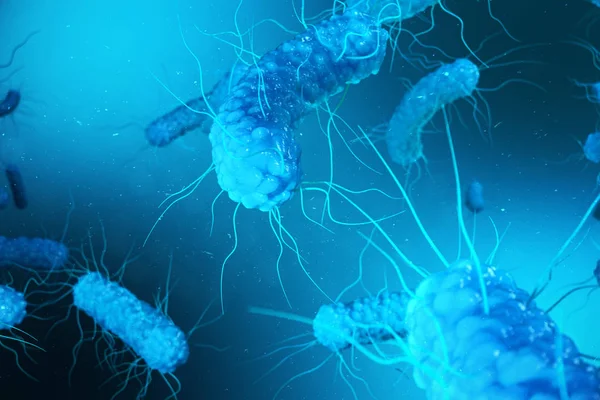 Enterobactérias Renderização Gram Negativas Proteobacteria Bactérias Como Salmonella Escherichia Coli — Fotografia de Stock