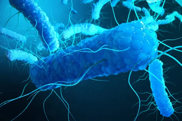 Απεικόνιση Enterobacterias Γραμμάριο Negativas Proteobacteria Βακτήρια Όπως Σαλμονέλα Yersinia Pestis — Φωτογραφία Αρχείου