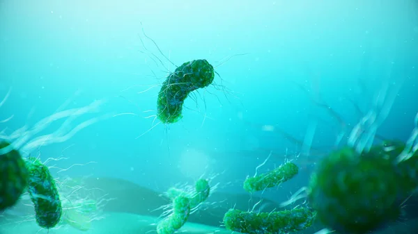 Viruses Causing Infectious Diseases Decreased Immunity Concept Viral Disease Virus — Stock Photo, Image