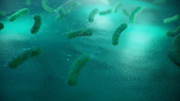 Bulaşıcı Hastalıklara Neden Olan Virüsler Bağışıklığın Azalması Viral Hastalık Kavramı — Stok fotoğraf