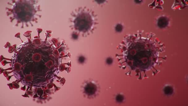 珊瑚病毒 流感病毒和2019 Ncov的爆发 流行病的概念 人类细胞的流行病 显微镜下的Covid 19是影响呼吸系统的病原体3D说明 — 图库视频影像