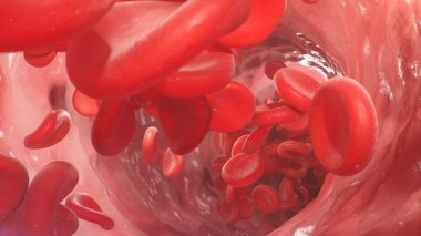 Atardamardaki alyuvar hücrelerinin 3 boyutlu çizimi. Yaşayan bir organizmanın içindeki kan akışı. Bilimsel ve tıbbi mikrobiyolojik kavram. Oksijen ve önemli besinlerle zenginleştirme