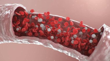 Atardamardaki alyuvar hücrelerinin 3 boyutlu çizimi. Sağlıklı arteriyel kesit kan akışı. Bilimsel ve tıbbi mikrobiyolojik kavram. Oksijen ve önemli besinlerle zenginleştirme