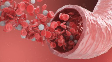 Atardamardaki alyuvar hücrelerinin 3 boyutlu çizimi. Sağlıklı arteriyel kesit kan akışı. Bilimsel ve tıbbi mikrobiyolojik kavram. Oksijen ve önemli besinlerle zenginleştirme