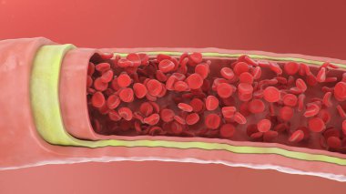 3d illustration of red blood cells inside an artery, vein. Healthy arterial cross-section blood flow. Scientific and medical microbiological concept. Enrichment with oxygen and important nutrients clipart