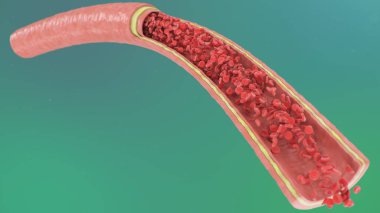 Enine kesit arter görüntüsü. Atardamarda, damarda kırmızı kan hücreleri var. Sağlıklı kan akışı. Bilimsel ve tıbbi konsept. Vücudu korumak için kandaki önemli elementlerin aktarımı, 3 boyutlu illüstrasyon.
