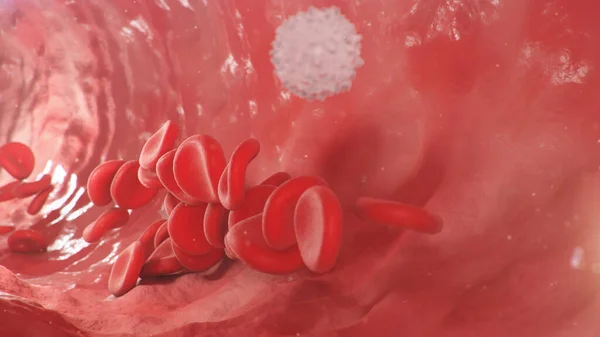 Glóbulos Vermelhos Dentro Uma Artéria Veia Fluxo Sangue Dentro Organismo — Fotografia de Stock
