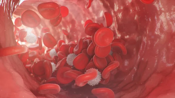 Red blood cells inside an artery, vein. Flow of blood inside a living organism. Scientific and medical concept. Transfer of important elements in the blood to protect the body, 3d illustration