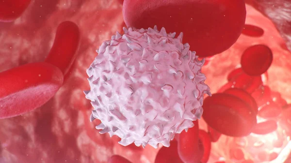 Atardamarda Damarda Kırmızı Kan Hücreleri Var Yaşayan Bir Organizmanın Içine — Stok fotoğraf