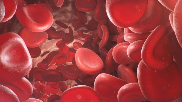 Illustration Red Blood Cells Artery Vein Flow Blood Living Organism — Stock Photo, Image