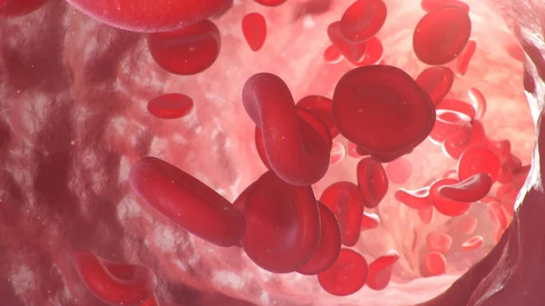 Atardamardaki Alyuvar Hücrelerinin Boyutlu Çizimi Yaşayan Bir Organizmanın Içindeki Kan — Stok fotoğraf