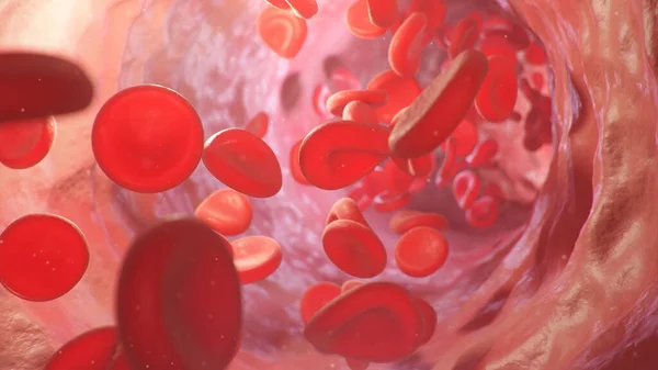 Ilustrasi Sel Darah Merah Dalam Arteri Vena Aliran Darah Dalam — Stok Foto