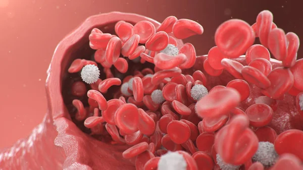 Enine Kesit Arter Görüntüsü Atardamarda Damarda Kırmızı Kan Hücreleri Var — Stok fotoğraf