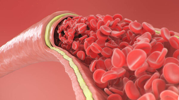 3d illustration of red blood cells inside an artery, vein. Healthy arterial cross-section blood flow. Scientific and medical microbiological concept. Enrichment with oxygen and important nutrients