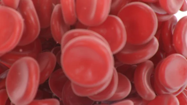Abstrakte Rote Blutkörperchen Geronnen Wissenschaftliches Und Medizinisches Konzept Übertragung Wichtiger — Stockfoto