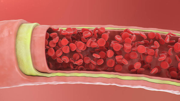 3d illustration of red blood cells inside an artery, vein. Healthy arterial cross-section blood flow. Scientific and medical microbiological concept. Enrichment with oxygen and important nutrients